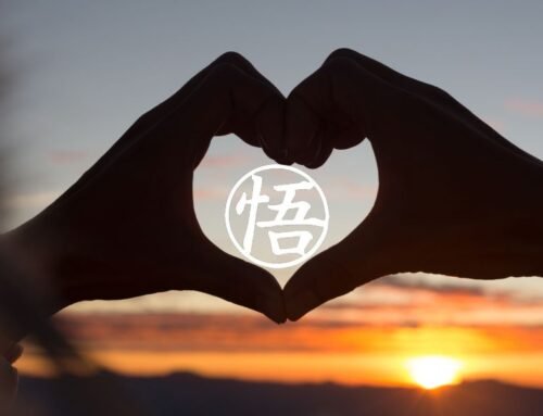 THE RELATIONSHIP DOJO: Shadow Work as Sacred Partnership