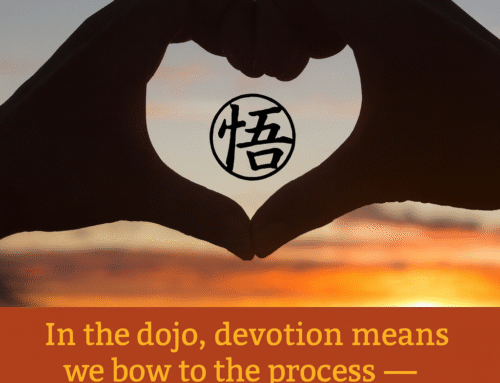 Relationship Dojo Q&A: The Art of Choosing Each Other, Again and Again
