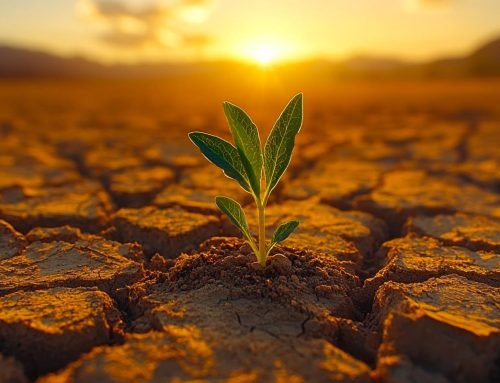Why Resilience Is Not the Same as Endurance